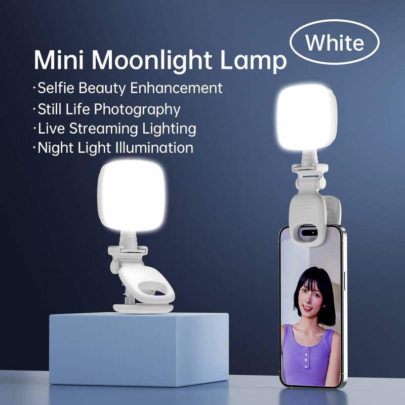Photography Lighting Diagram - Przenośna lampka LED do selfie, mini