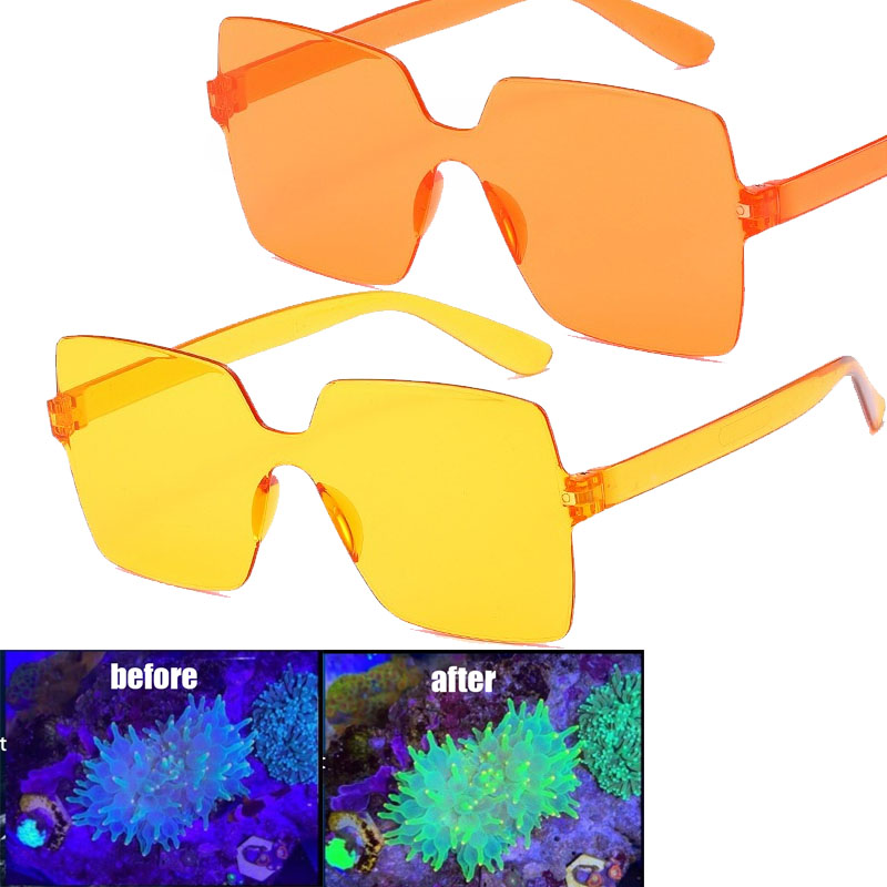 Photography Natural Lighting - Koralowe okulary obserwacyjne Koralowe okulary fotograficzne