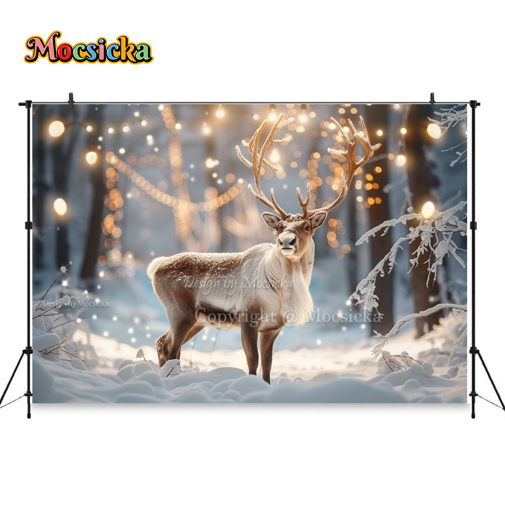 Winter Snow Scenes Photography – Photography Natural Lighting recenzja i cena